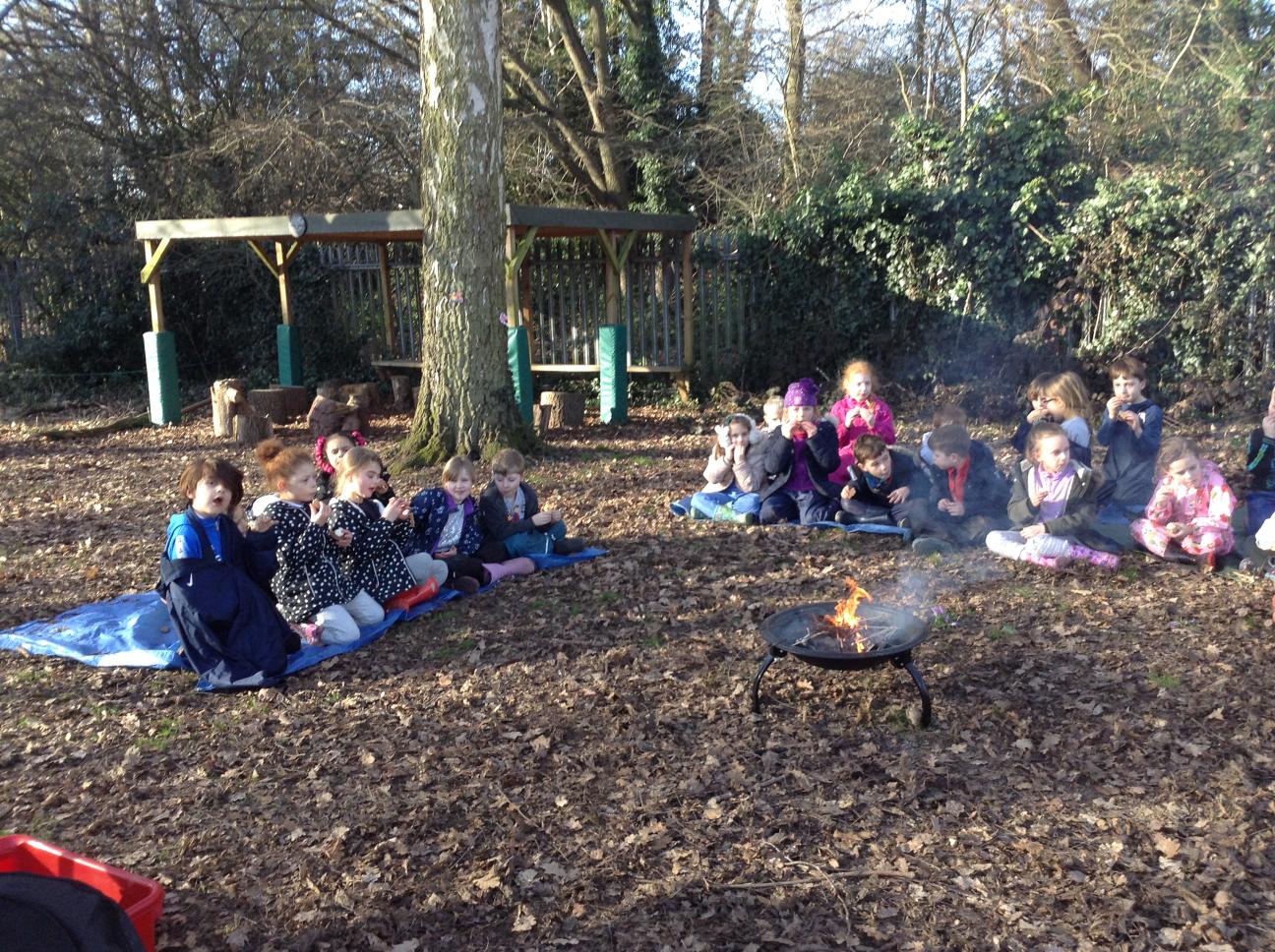 Week 5 Spring Year 2 Forest School