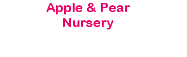Apple & Pear Nursery