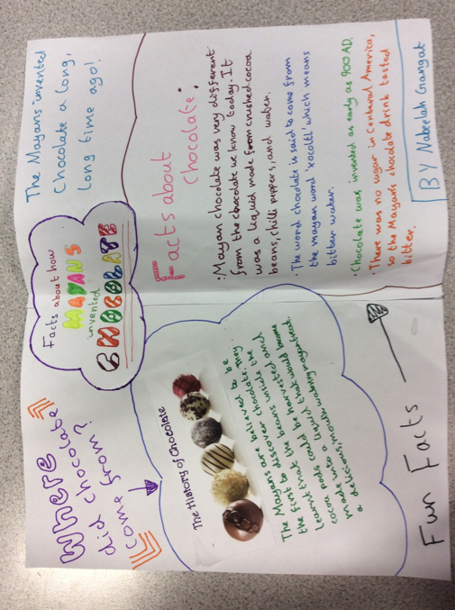 Maya websites picture