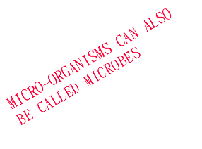MICRO-ORGANISMS CAN ALSO BE CALLED MICROBES